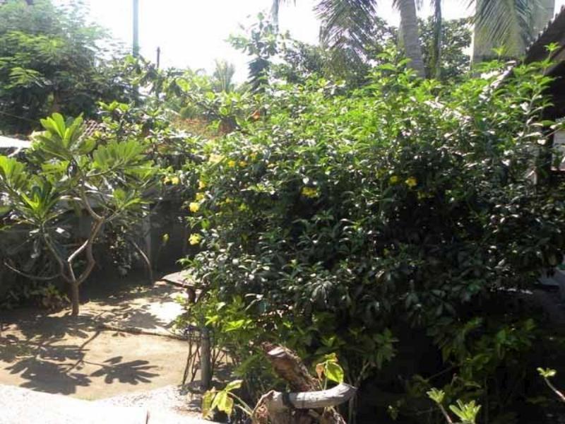 Malino Homestay กีลีตราวางัน ภายนอก รูปภาพ